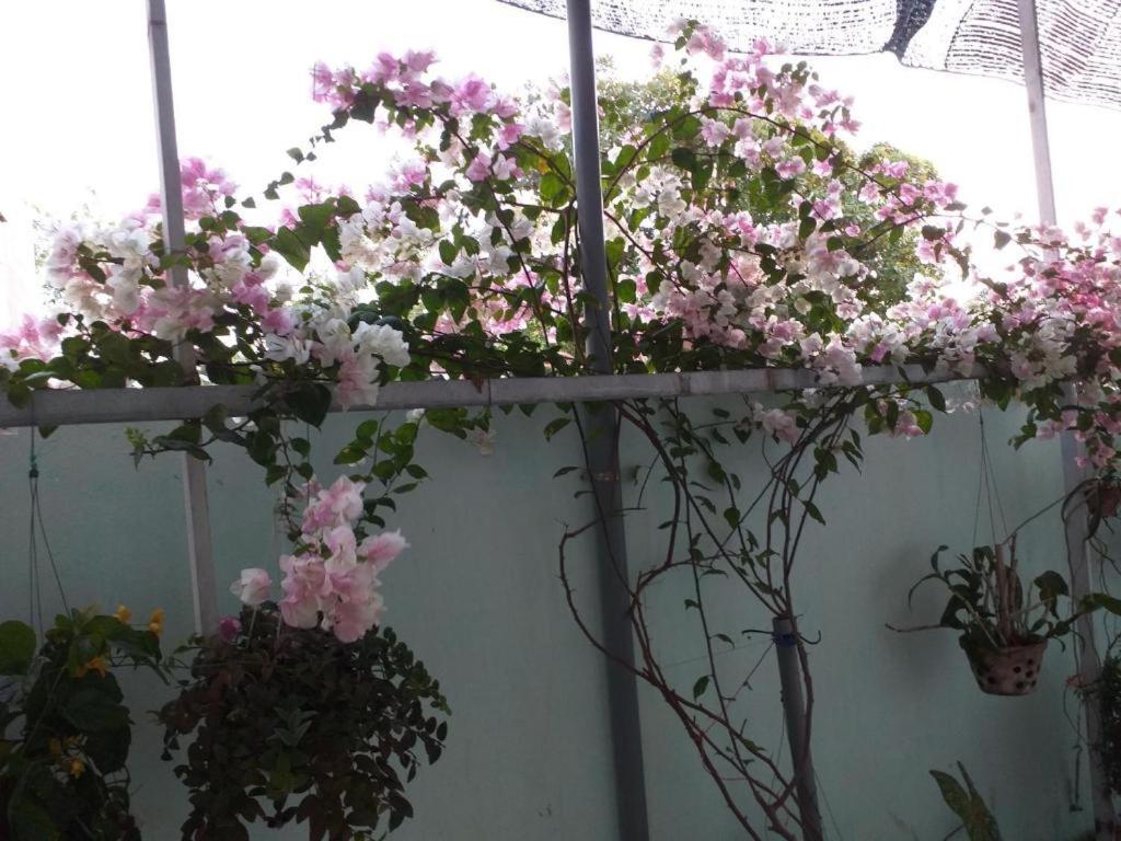 隆海 Nha Nghi Nguyen Anh酒店 外观 照片